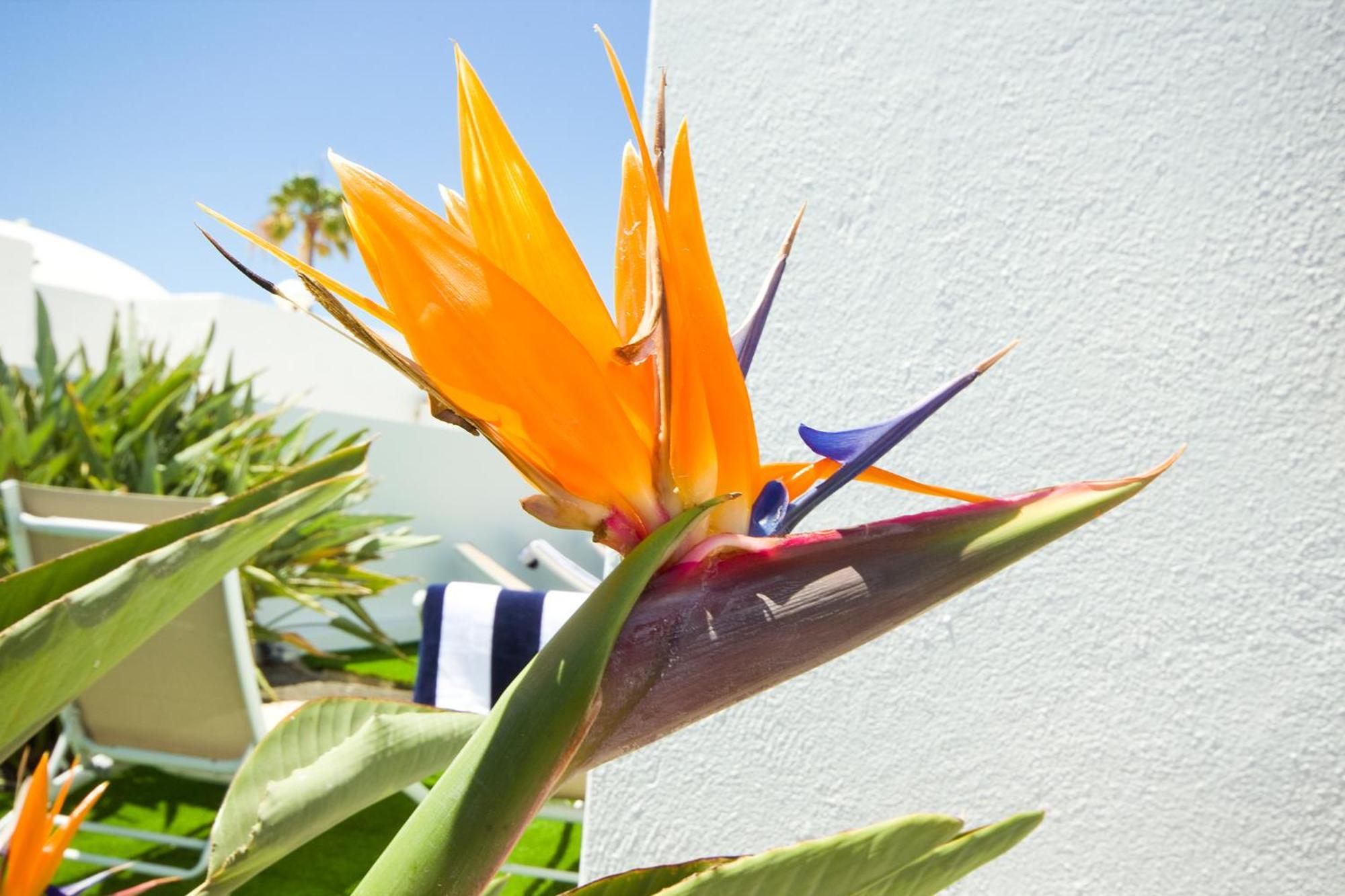 Villa El Golfo - By Az Rentals Puerto del Carmen  Eksteriør bilde